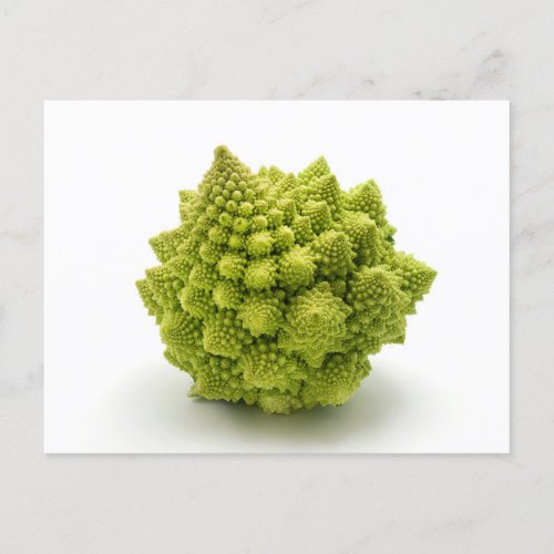 Romanesco broccoli postcard