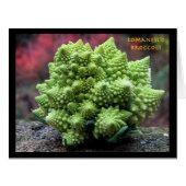 Romanesco Broccoli Vegetable (Front Horizontal)