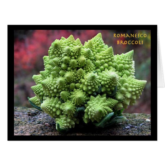 Romanesco Broccoli Vegetable Cards (Front Horizontal)