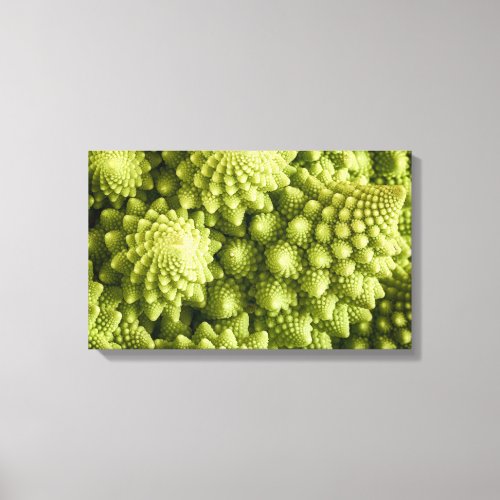 Romanesco broccoli vegetable close up canvas print