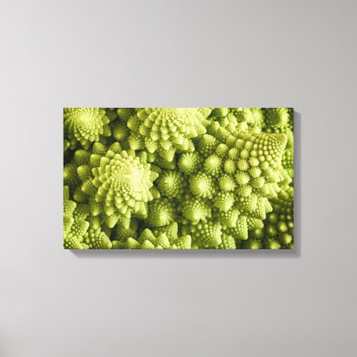 Romanesco broccoli vegetable close up canvas print