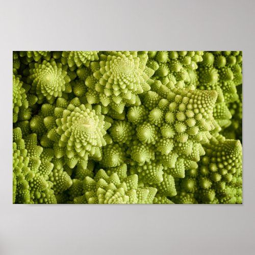 Romanesco broccoli vegetable close up poster