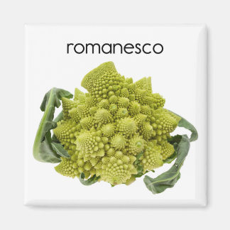 Romanesco Refrigerator Magnet