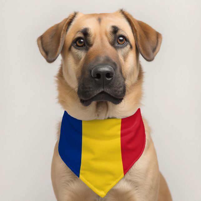 Romania flag pet bandana collar (Dog 2)