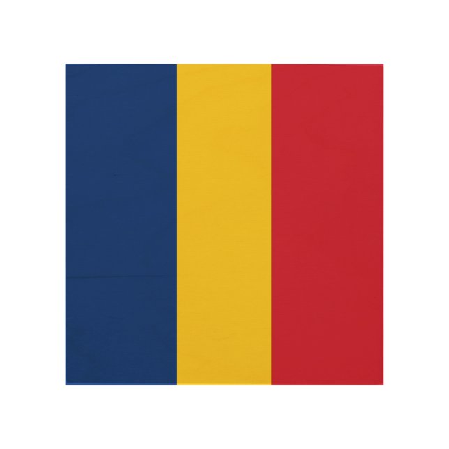 Romania flag wood wall art (Front)