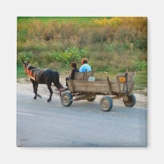 Romania, Horse and cart transport Magnet