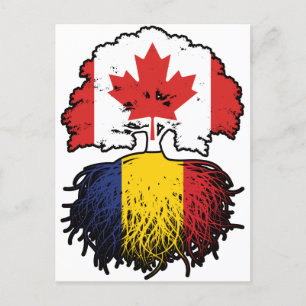 Romania Romanian Canadian Canada Tree Roots Flag Postcard