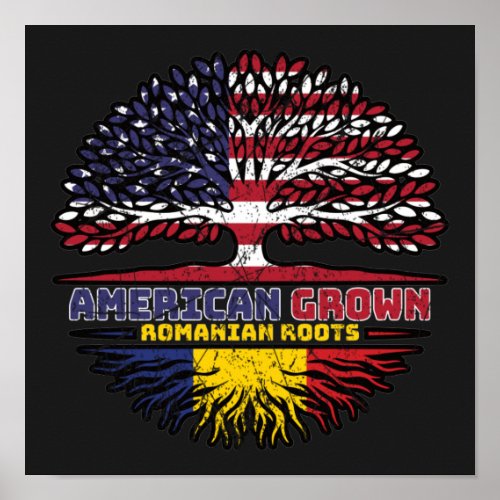 Romania Romanian US American USA United States Poster