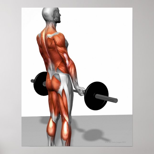 Romanian Deadlift Poster (Front)