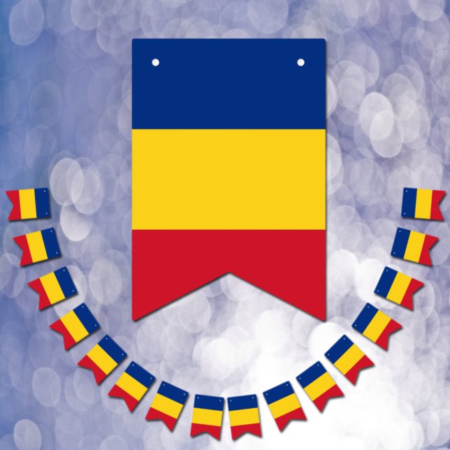 Romanian Flag & Party Romania Banners / Weddings (Creator Uploaded)