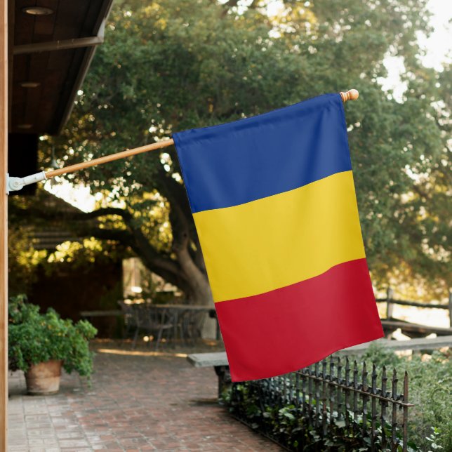 Romanian Flag & Romanian country travel / Romania (In SItu)