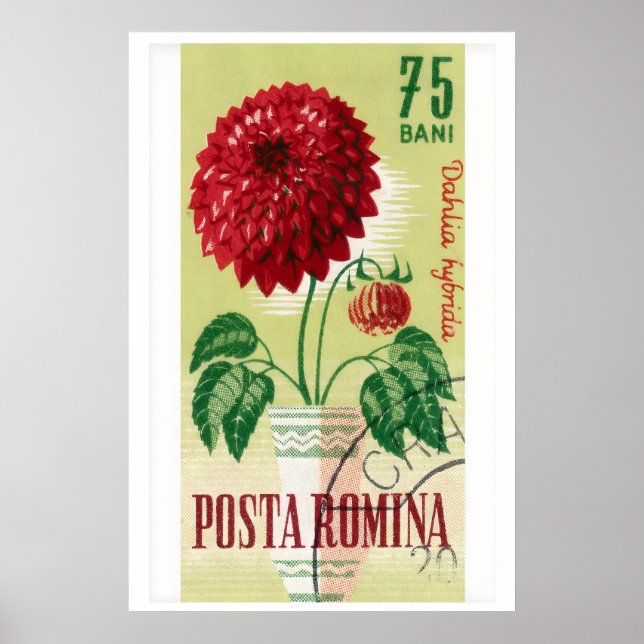 Romanian Postage Stamp Print Red Dahlia Flower (Front)