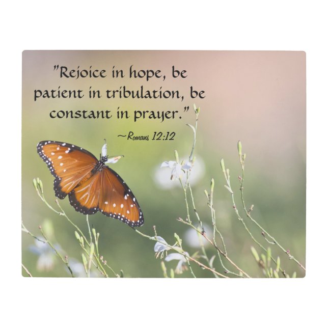 Romans 12:12 butterfly  metal print (Front)