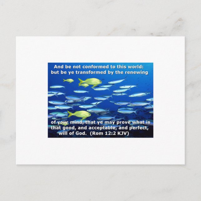 Romans 12:2 postcard (Front)