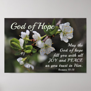 Romans 15:13 God of Hope White Flowers Poster