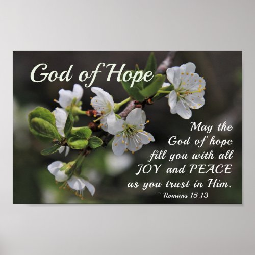 Romans 1513 God of Hope White Flowers Poster