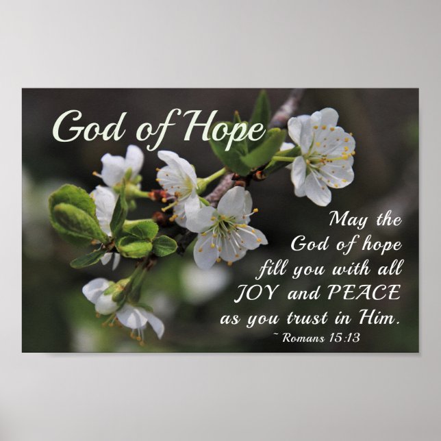 Romans 15:13 God of Hope White Flowers Poster (Front)