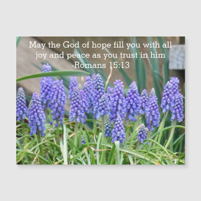 Romans 15:13 Hyacinth Magnetic Card (Front)
