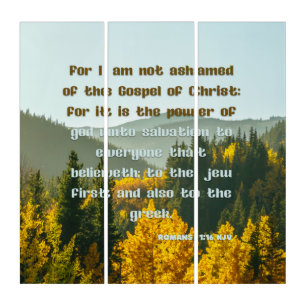 Romans 1:16 KJV Bible Verse Pic Wall Art