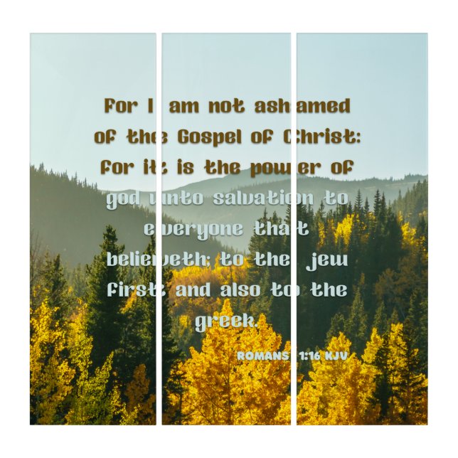 Romans 1:16 KJV Bible Verse Pic Wall Art (Front)