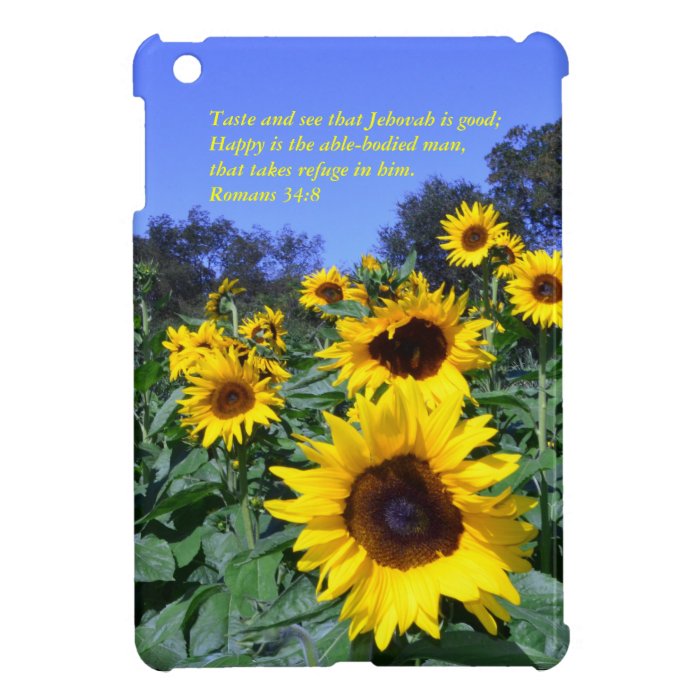 Romans 34.8 iPad mini covers