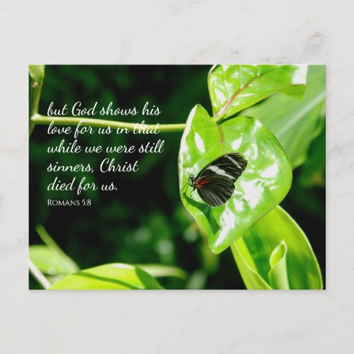 Romans 58 Butterfly Leaf Postcard