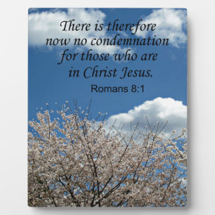 Romans 8:1 There is therefore now no condemnation Plaque