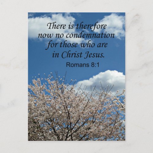 Romans 81 There is therefore now no condemnation Postcard