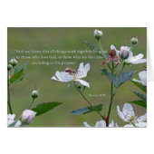 Romans 8:28 (Front Horizontal)