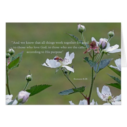Romans 8:28 cards (Front Horizontal)