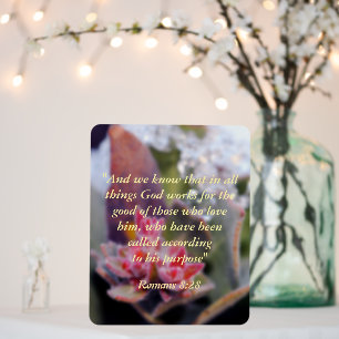 Romans 8:28 foam board