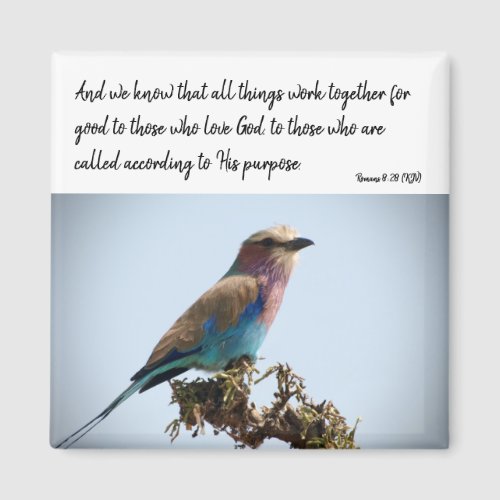 Romans 828 KJV Magnet