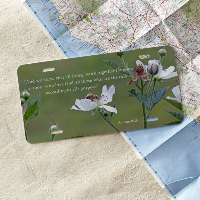 Romans 8:28 license plate (In Situ)