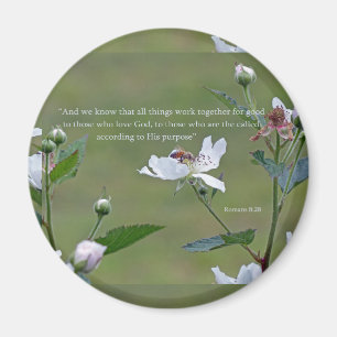 Romans 8:28 magnet