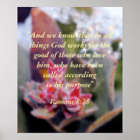 Romans 8:28