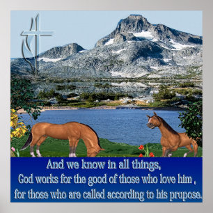 Romans 8:28 poster