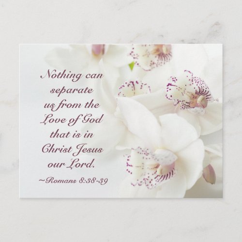 Romans 838_39 Love of God Valentines Day Postcard