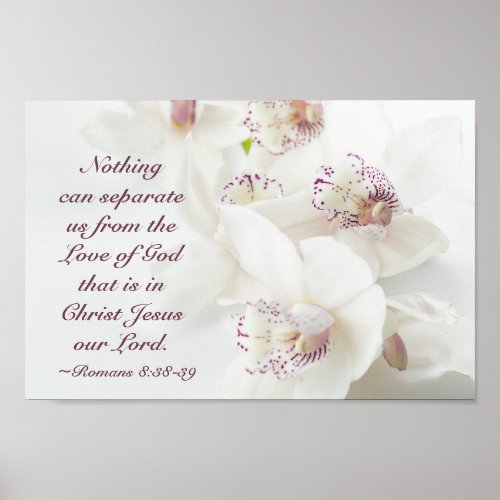Romans 839 Love of God Bible White Orchids Poster