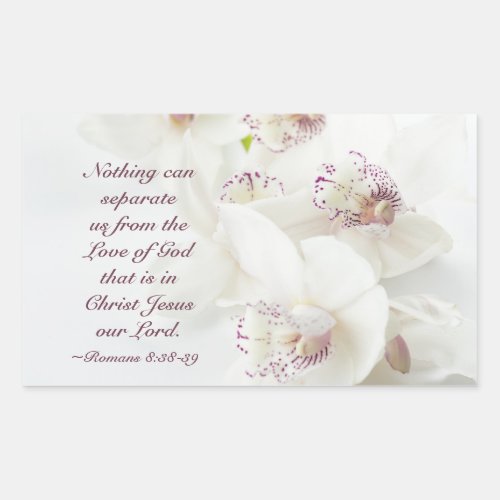 Romans 839 Love of God Bible White Orchids Rectangular Sticker