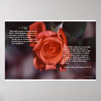 Romans 8 Rose Poster