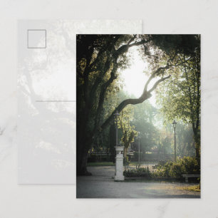 Romantic Academia Park View, Rome Postcard