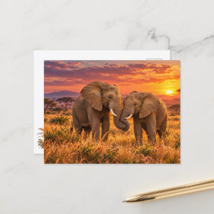 Romantic African Elephants Savanna Sunset Holiday Postcard
