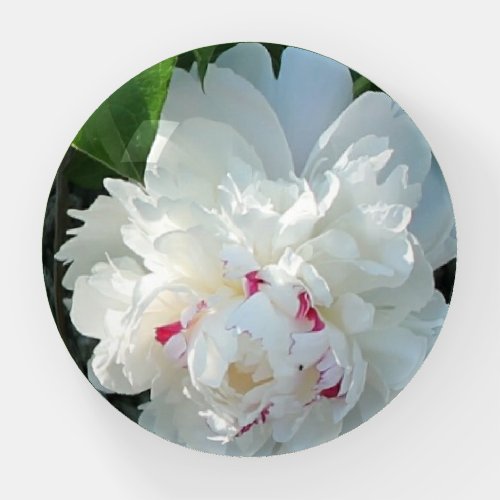 Romantic Beautiful Peony Paperweight