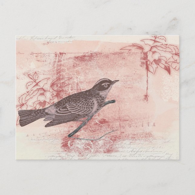 romantic bird drawing grunge artistic letter love postcard (Front)
