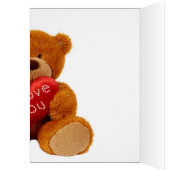Romantic Birthday Teddy Bear - You Complete Me (Inside (Left))