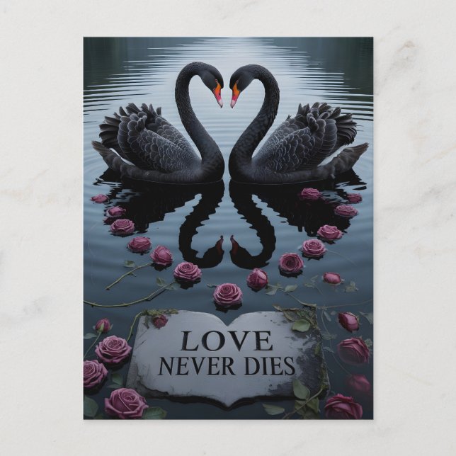 Romantic Black Swans Heart Reflection with Text Postcard (Front)