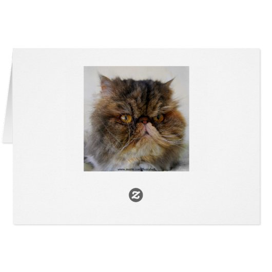 Romantic Calico Persian Kitty Card (Back Horizontal)
