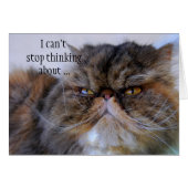 Romantic Calico Persian Kitty Card (Front Horizontal)