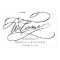 Romantic Calligraphy | Flourish Welcome Wedding
