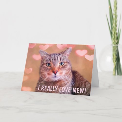 Romantic Cat Valentines Day Holiday Card